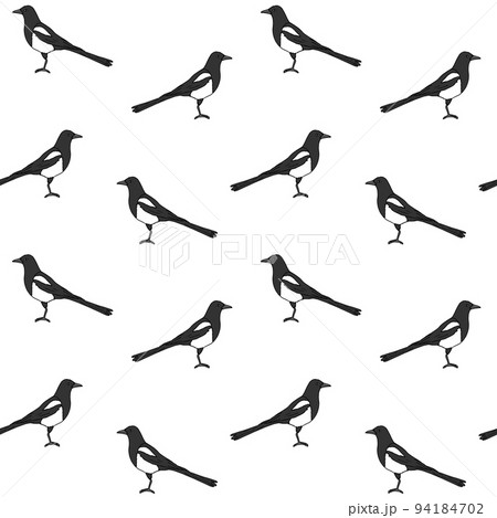 Vector seamless pattern of hand drawn magpie bird 94184702