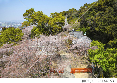 紀三井寺 境内 紀三井寺 境内 94186153