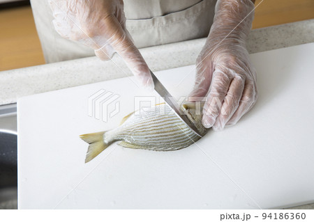 キッチンで魚を料理する日本人の主婦の手元、釣魚のヘダイを料理する 94186360