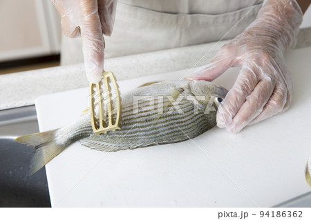 キッチンで魚を料理する日本人の主婦の手元、釣魚のヘダイを料理する キッチンで魚を料理する日本人の主婦の手元、釣魚のヘダイを料理する 94186362