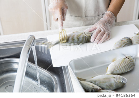 キッチンで魚を料理する日本人の主婦の手元、釣魚のヘダイを料理する 94186364