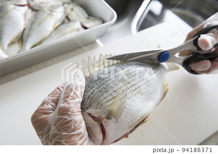 キッチンで魚を料理する日本人の主婦の手元、釣魚のヘダイを料理する 94186371