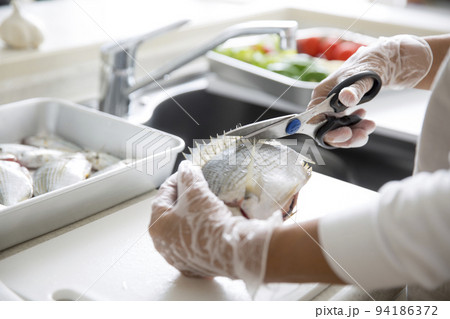 キッチンで魚を料理する日本人の主婦の手元、釣魚のヘダイを料理する キッチンで魚を料理する日本人の主婦の手元、釣魚のヘダイを料理する 94186372