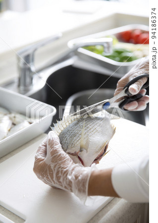 キッチンで魚を料理する日本人の主婦の手元、釣魚のヘダイを料理する 94186374