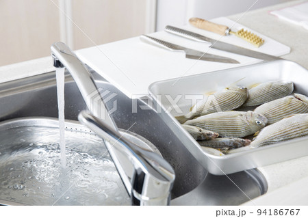 キッチンで魚の下処理をする準備、釣魚のヘダイとヒイラギを料理する キッチンで魚の下処理をする準備、釣魚のヘダイとヒイラギを料理する 94186767