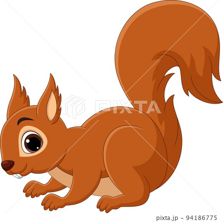 Cartoon happy squirrel isolated on white... - Stock Illustration [94186775]  - PIXTA