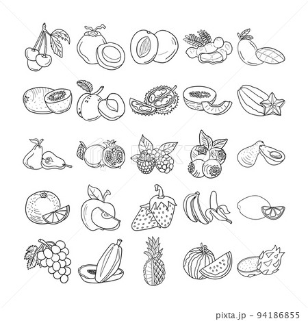 Fruits Hand Drawn Doodle Line Art Outline Set Containing Watermelon, Mango, Avocado, Melon, Tamarind, Durian, Apple, Dragon fruit, Pomegranate, Strawberry, Raspberry, Peach, Plum, Orange, Lemon  94186855