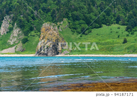 coastal landscape, beautiful lava rocks on the green coast of Kunashir island, algae on the littoral at low tide coastal landscape, beautiful lava rocks on the green coast of Kunashir island, algae on the littoral at low tide 94187171