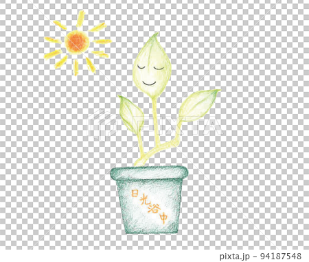 Pothos 2 Pothos 2 94187548