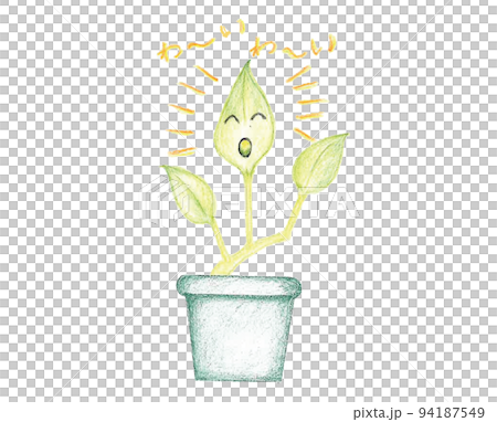 Pothos 1 Pothos 1 94187549