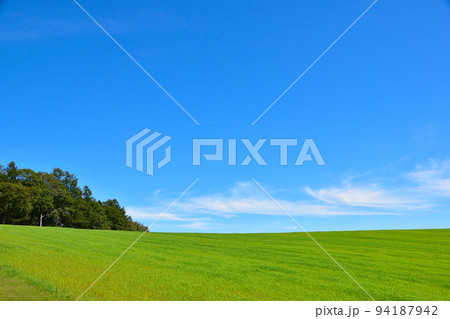 丘のまち　美瑛町 94187942