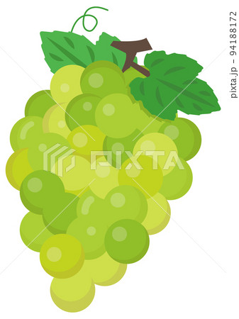 マスカット 94188172
