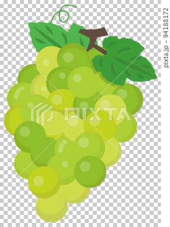 マスカット 94188172