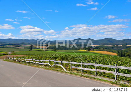 丘のまち 美瑛町 丘のまち 美瑛町 94188711