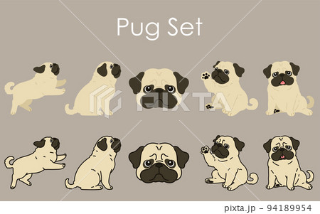 シンプルで可愛いパグのイラストセット 主線あり なしのイラスト素材