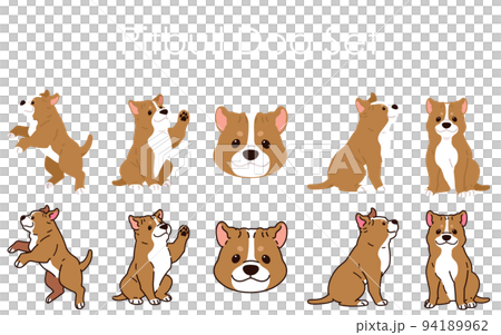 簡單可愛的美國比特犬梗插圖集，帶/不帶主線 94189962