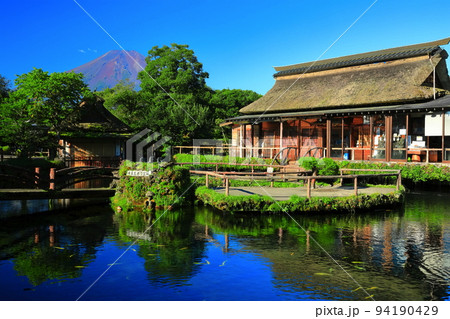 【山梨県】夏の富士山と忍野八海池（中池） 94190429