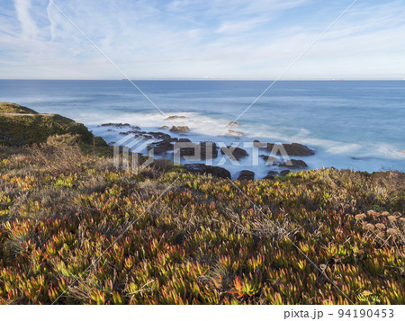 View of the rocky sea shore with long exposure blurred ocean waves with the red and green leaves of Carpobrotus edulis, ground-creeping succulent plant at wild Vicentina coast in Porto Covo, Portugal 94190453