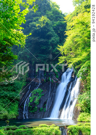 夏の白水の滝 大分県竹田市 夏の白水の滝 大分県竹田市 94192428