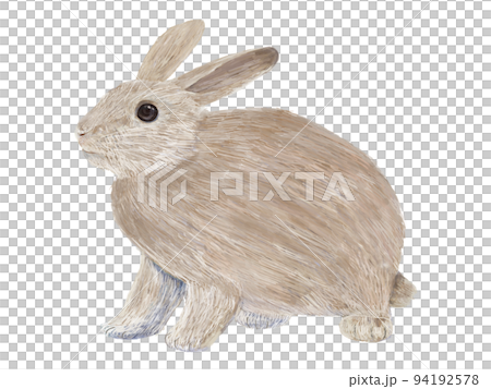茶色うさぎ左向き_横 94192578