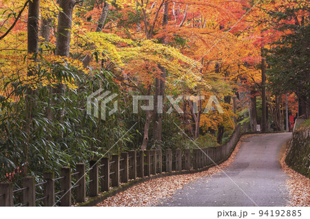 211106日枝神社g052 211106日枝神社g052 94192885