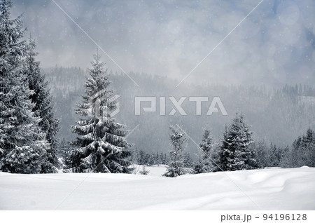 Winter landscape with snowy trees and snowflakes 94196128