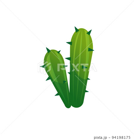 Green cactus exotic plants flat cartoon vector illustration isolated on white. 94198175