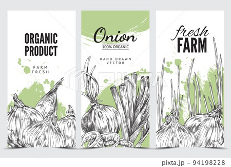 Organic onion advertising leaflet or flyer, hand drawn sketch vector illustration. 94198228