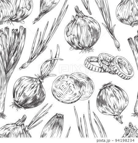 Black and white onion seamless pattern, sketch vector illustration on white background. 94198234