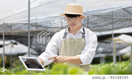 Owner of a small organic vegetable garden uses a tablet to control and direct the supply of water and nutrients or to record the growth of vegetables in the garden, Vegetables in the greenhouse. 94198395