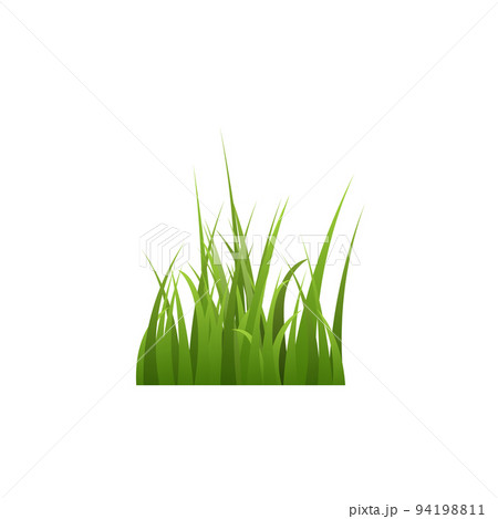 Bunch of green lawn grass and herbs realistic vector illustration isolated. 94198811