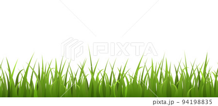 Seamless grass border or lawn, realistic vector illustration on white background. 94198835
