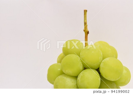 秋の味覚シャインマスカット 秋の味覚シャインマスカット 94199002