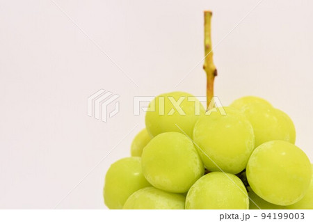 秋の味覚シャインマスカット 94199003