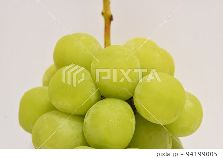秋の味覚シャインマスカット 秋の味覚シャインマスカット 94199005