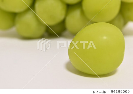 秋の味覚シャインマスカット 秋の味覚シャインマスカット 94199009