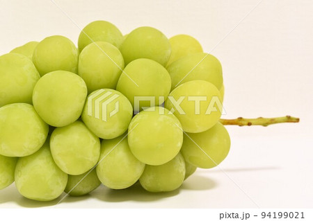 秋の味覚シャインマスカット 秋の味覚シャインマスカット 94199021