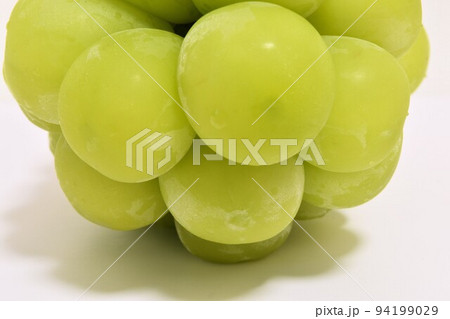 秋の味覚シャインマスカット 94199029