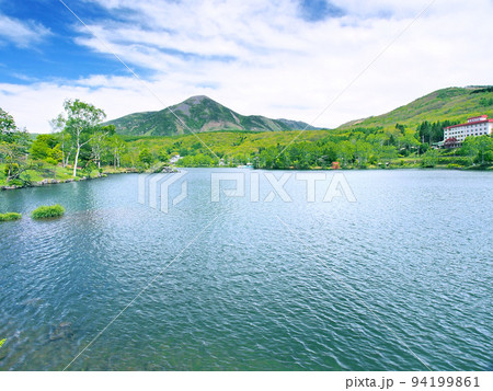 新緑の山と湖(長野県 蓼科山と白樺湖) 新緑の山と湖(長野県 蓼科山と白樺湖) 94199861