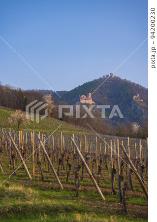 Chateau de Saint-Ulrich ruins, Chateau du Girsberg ruins and Chateau du Haut-Ribeaupierre near Ribeauville, Alsace, 94200230