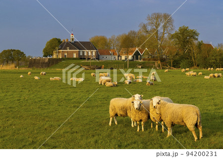 Former island of Schokland, UNESCO World Heritage Site, Netherlands 94200231