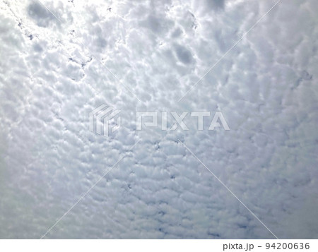うろこ雲の広がり 空の背景素材 うろこ雲の広がり 空の背景素材 94200636