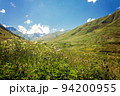 View of high alpine meadows. 94200955