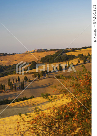 Cipressi di Monticchielo, Typical Tuscan landscape near Montepulciano, Italy Cipressi di Monticchielo, Typical Tuscan landscape near Montepulciano, Italy 94201321