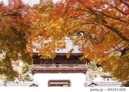 京都興聖寺　京都の紅葉名所　京都宇治の観光名所　紅葉のトンネル 94201406
