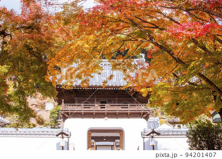京都興聖寺　京都の紅葉名所　京都宇治の観光名所　紅葉のトンネル 94201407