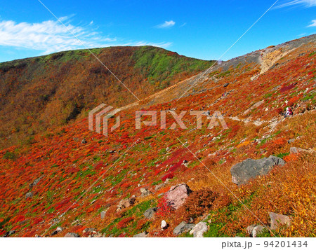 燃えるように鮮やかな紅葉[栃木県 那須岳] 94201434