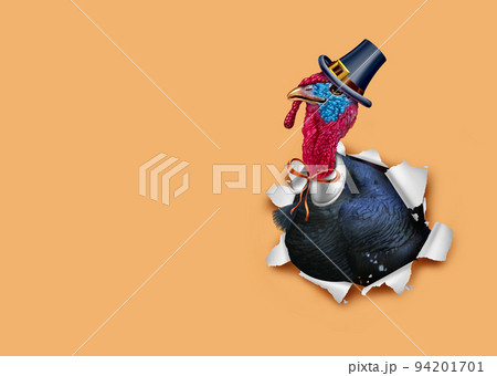 Thanks Giving Turkey 94201701