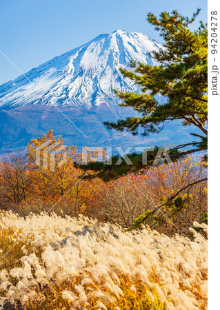 富士山麓　山梨鳴沢村の秋　紅葉の三湖台から望む富士山 94204278