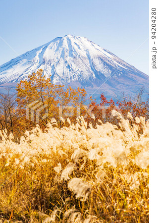 富士山麓　山梨鳴沢村の秋　紅葉の三湖台から望む富士山 94204280